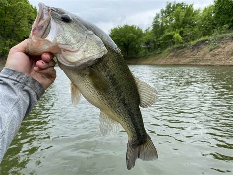 bass fishing in Oklahoma